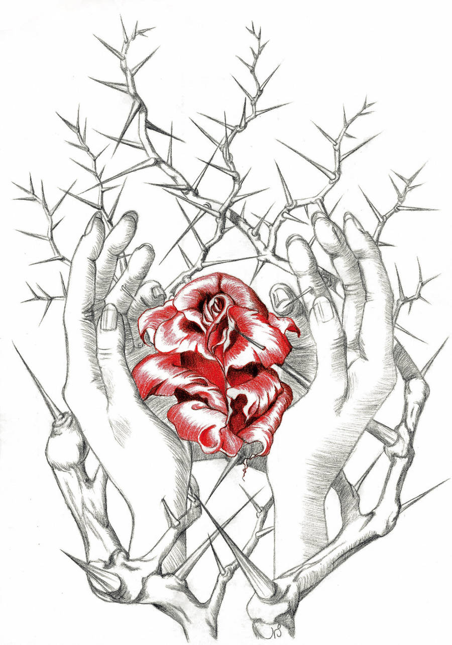 rose and hands thornbush by RAY-N-BOW