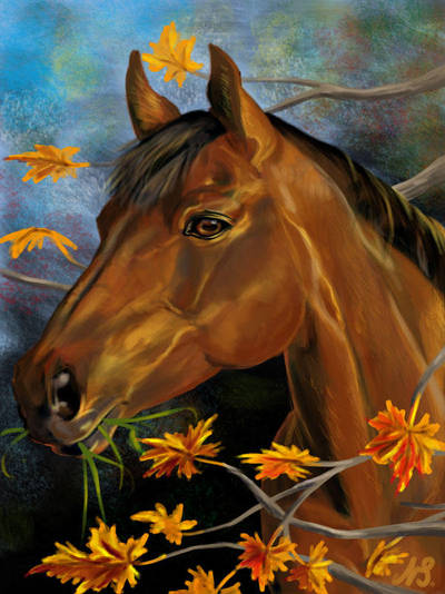 horse 2 by RAY-N-BOW