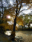 Autumn in park by JankaLateckova