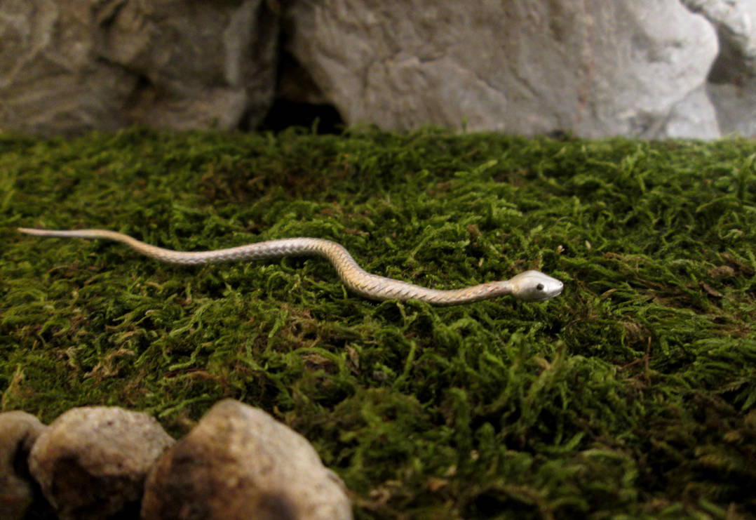 Metal Snake by AtriellMe