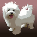 QSR - White Floof Dog by ItoeKobayashi