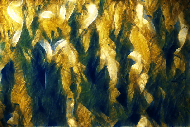 Abstract Ornamental - Texture by irn-bru