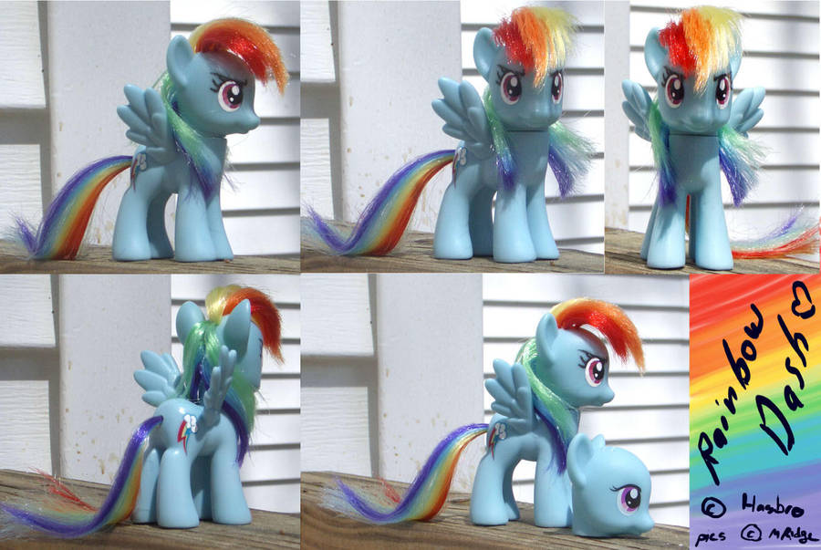 Customized Rainbow Dash by brewing-trouble