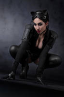 catwoman  crawling by lasupercharger