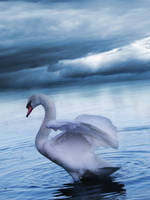 stock_retouched07 by Eireen-stock