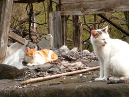 Mother and son by seccentral