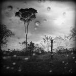 De camino II by AndreaMelendez