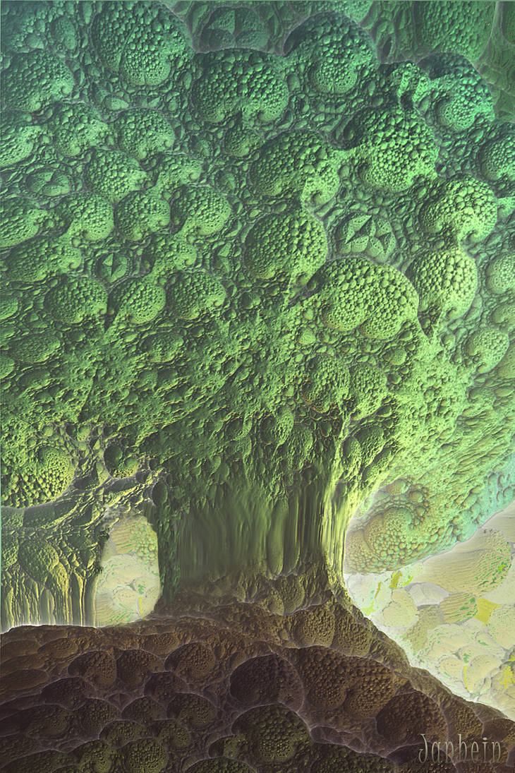 The Tree by janhein The Tree by janhein