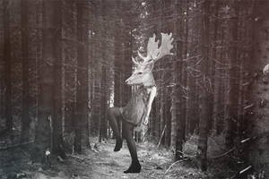 doe deer by my2candy