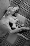 Together... by laura75325