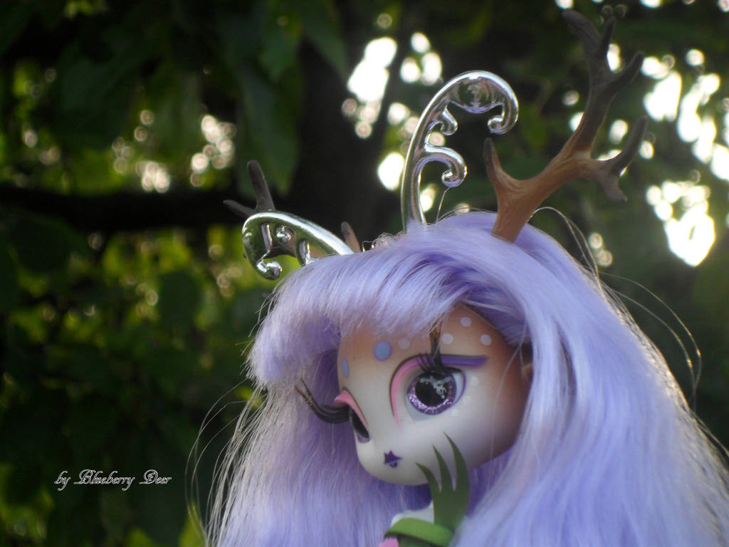 Novi Stars Doe A. Deer by KiroMisuitera on DeviantArt