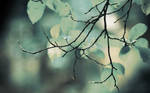 Homespun 2560x1600 by hermik