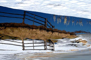 0070 by bbrokencookie