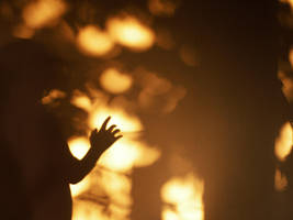 Lights will guide you home by kitty-362