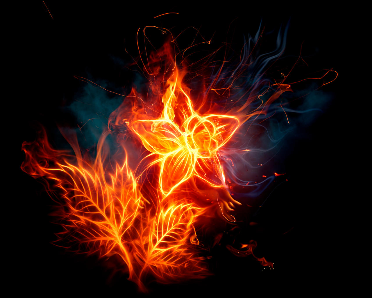 Fire Flower by Ma4nNi