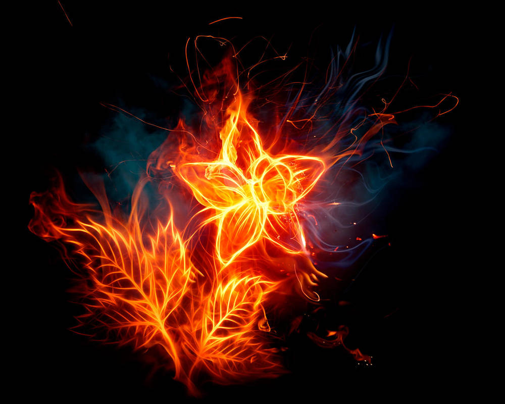 Fire Flower by Ma4nNi