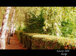 Autumn path by niwaj