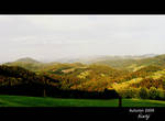 Hills in green by niwaj