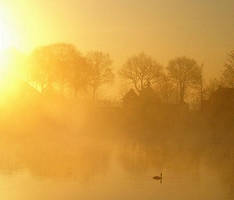 Seven AM by Vertasual