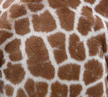 Stock texture 6 : giraffe by Vertasual