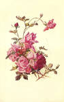 rose leaves 4 by jinifur
