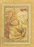Vintage roses by jinifur