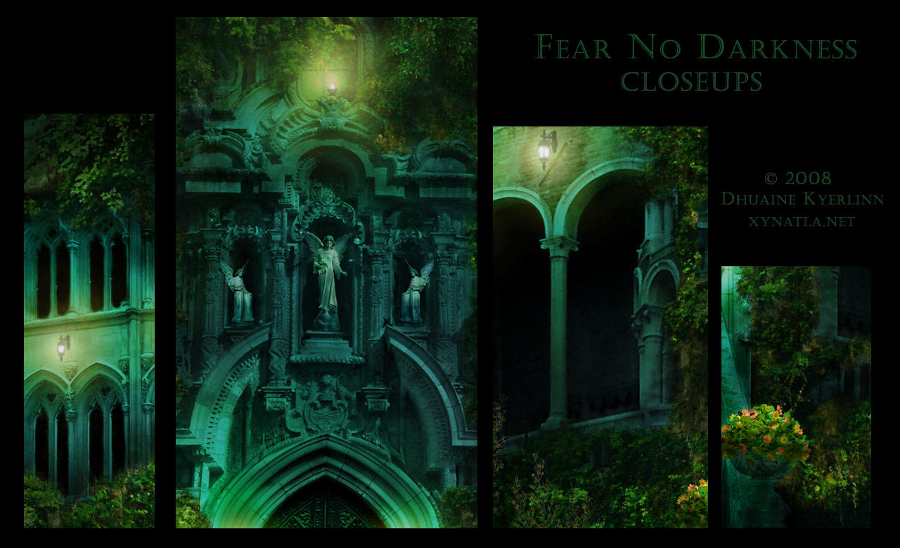 Fear No Darkness Close Ups by Dhuaine