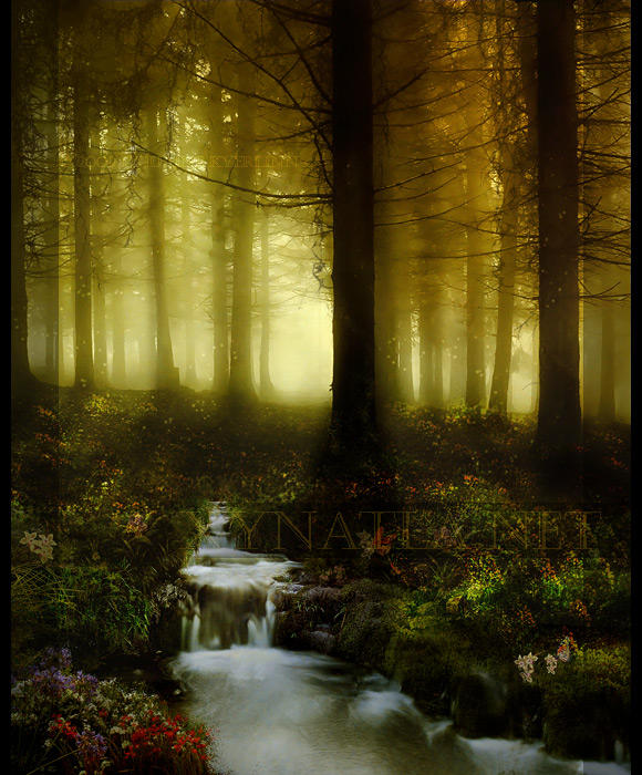 Verdure Tapestry by Dhuaine