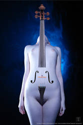Le Violon d'Ingres by SgtSareth