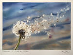 Dreaming of spring in winter - 20 min quickstudy by dominikgschwind