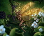 Fairy and blackberry by Traaw