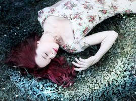 The Valley Of The Moon by MarinStefan