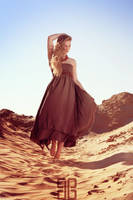 Desert Roses II by d-beckmann