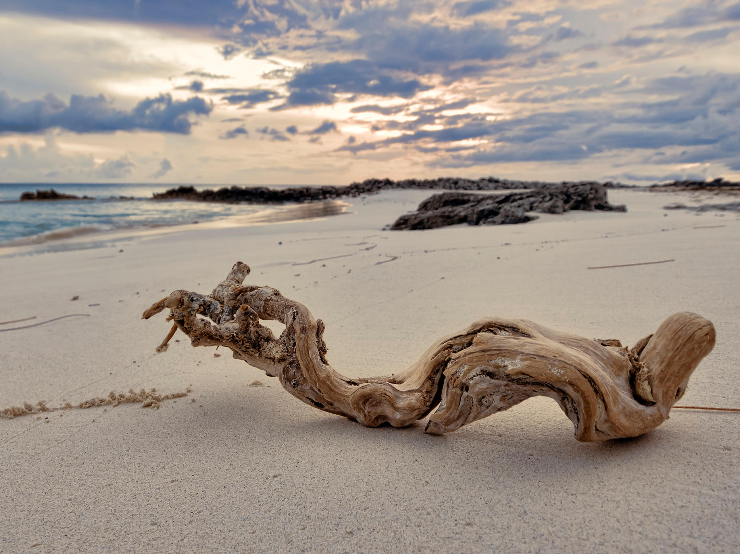 Driftwood sunset by peterpateman on DeviantArt
