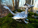 Silver Dragon Profile by MsMergus