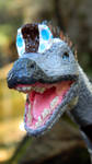 Open wide and say... by MsMergus