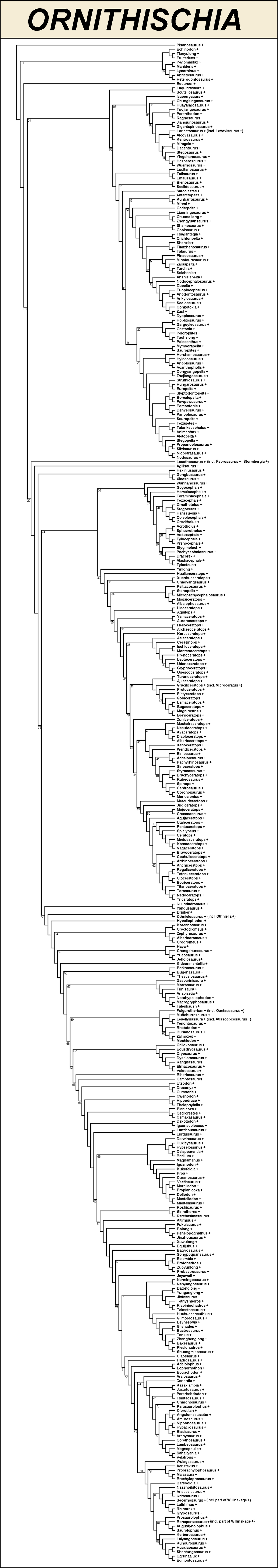 Resolution of Ornithischia by Dennonyx