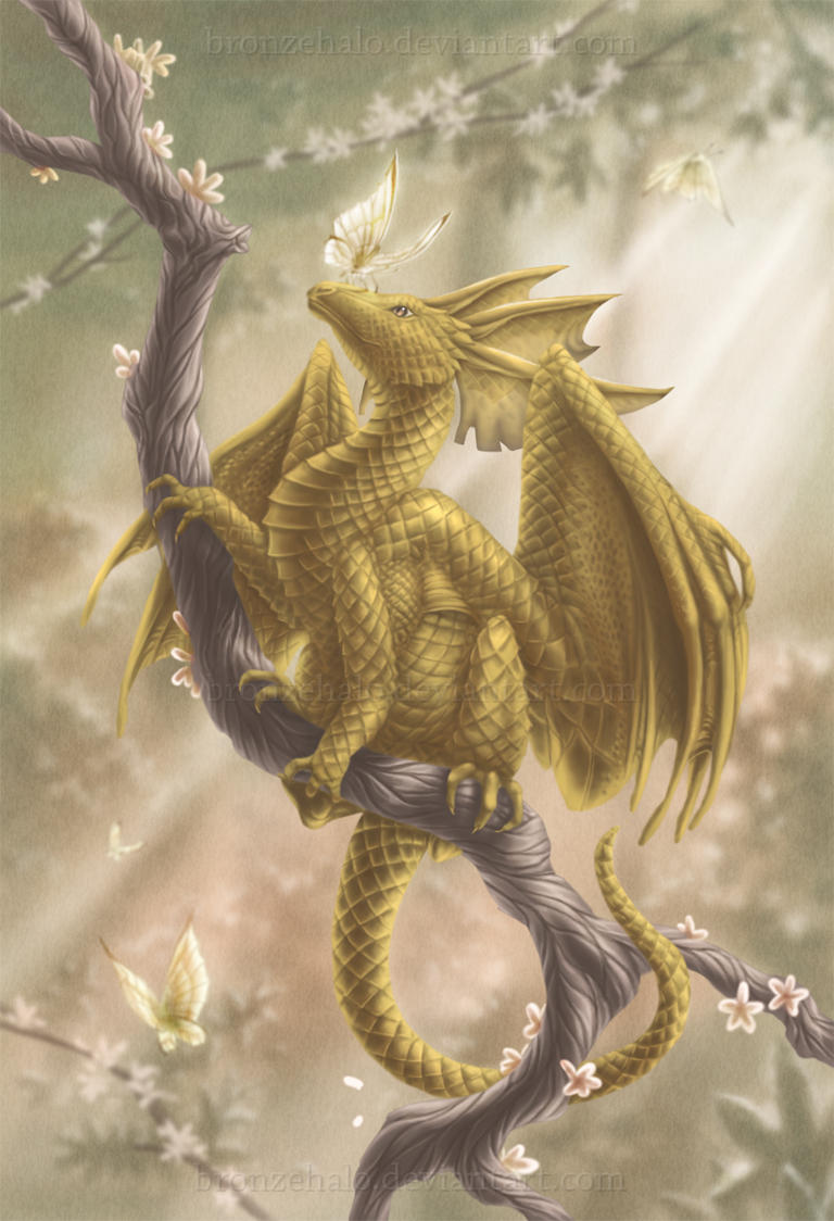 Hello, butterfly by BronzeHalo