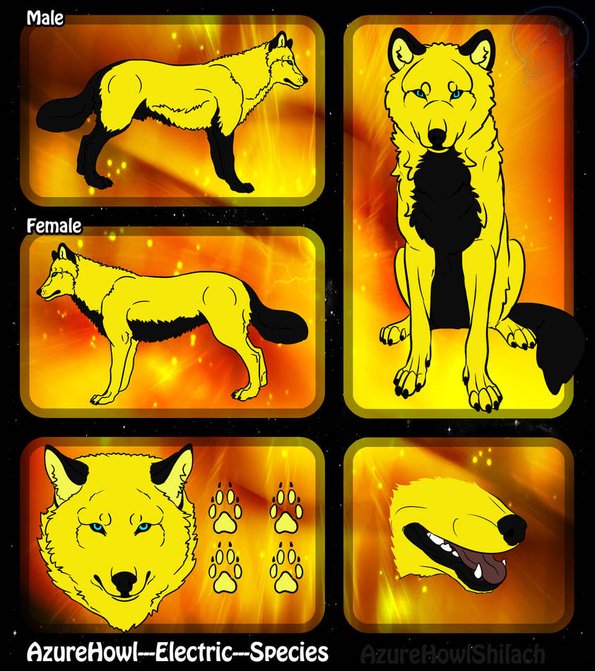 Electric wolf species - AzureHowl by AzureHowlShilach Electric wolf species - AzureHowl by AzureHowlShilach
