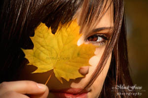 Autumn Colors. 03 by mind-focus