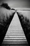 Caerlaverock: wetland walkway by Coigach