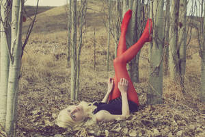 Red Stockings, Tall Trees by javertime