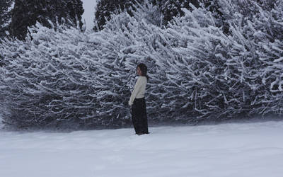 Snow Days by javertime