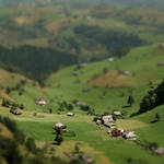 my miniature sirnea by buhu