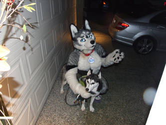 epic furry costume dude by Samson50