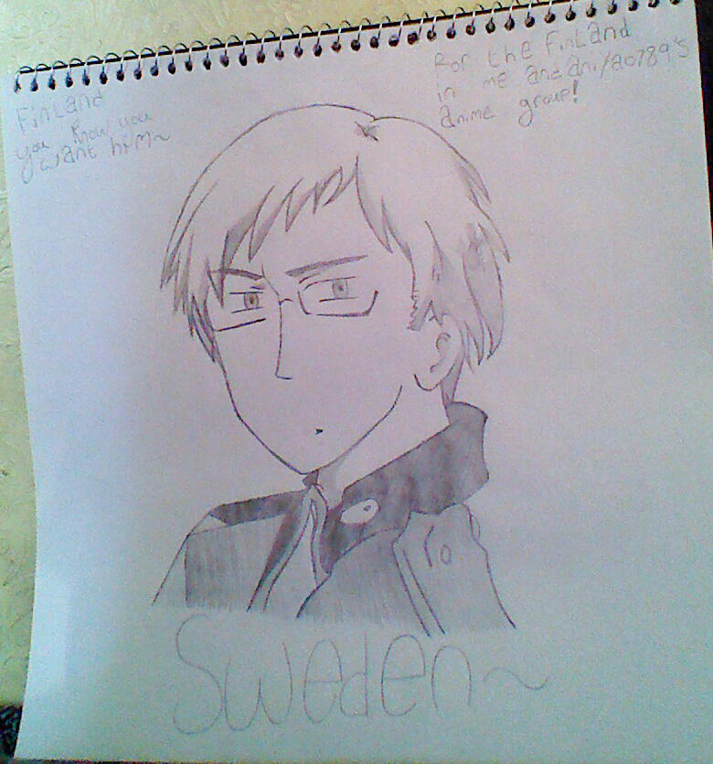 meet my version of Sweden ~ by dantania-dan