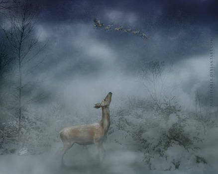 Christmas Wallpaper by arrsistable