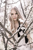 fairytale by sl-photographer