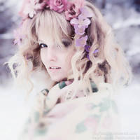 winter dream by sl-photographer