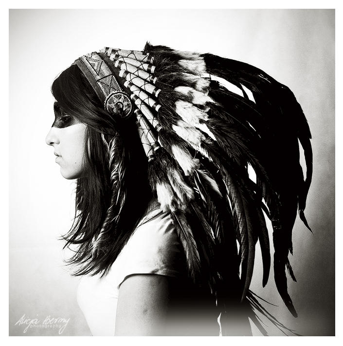 the last of the mohicans by beri